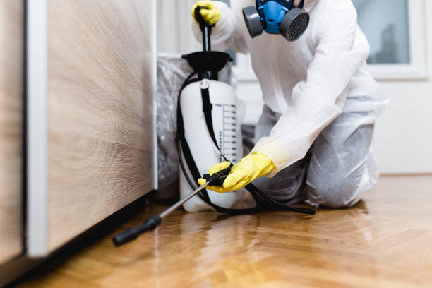 Best Rat Extermination Near Me  in Shannon, GA