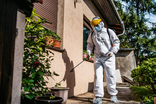 Best Pest Removal Services  in Shannon, GA