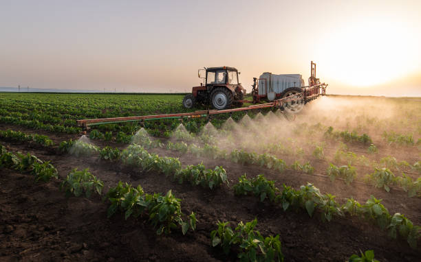 Best Commercial Pest Control Services  in Shannon, GA