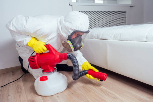 Professional Pest Control in Shannon, GA