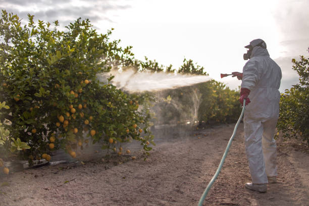 Best Exterminator Services  in Shannon, GA