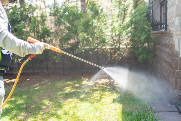 Best Exterminator Services  in Shannon, GA