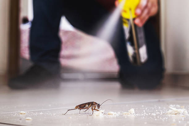 Flea Control Services in Shannon, GA