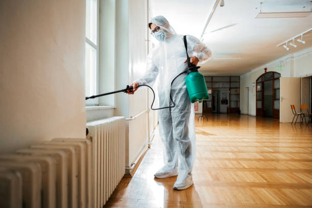 Best Insect Control  in Shannon, GA