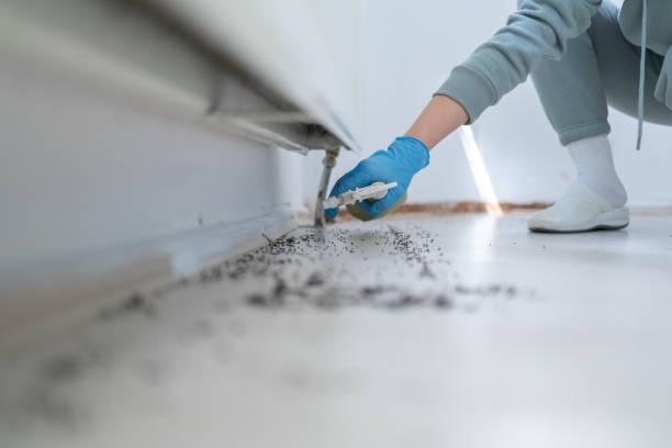 Best Best Pest Control Companies  in Shannon, GA