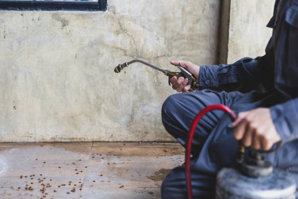 Best Mosquito Control Services  in Shannon, GA
