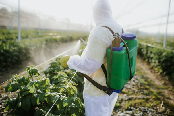 Best Wasp Removal Services  in Shannon, GA